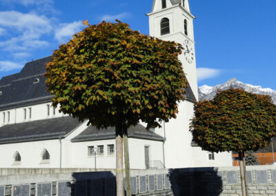 Erweiterung Friedhof Bonaduz